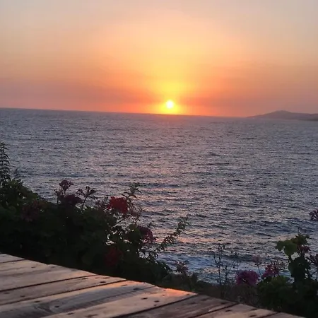 公寓 Sunset Berdenesh