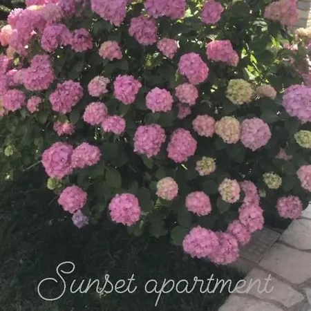 Sunset Berdenesh 公寓 *