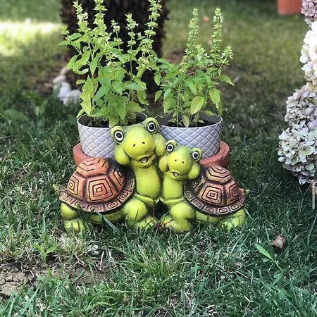 Sunset Berdenesh Sarandë