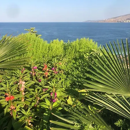 Apartment Sunset Berdenesh *